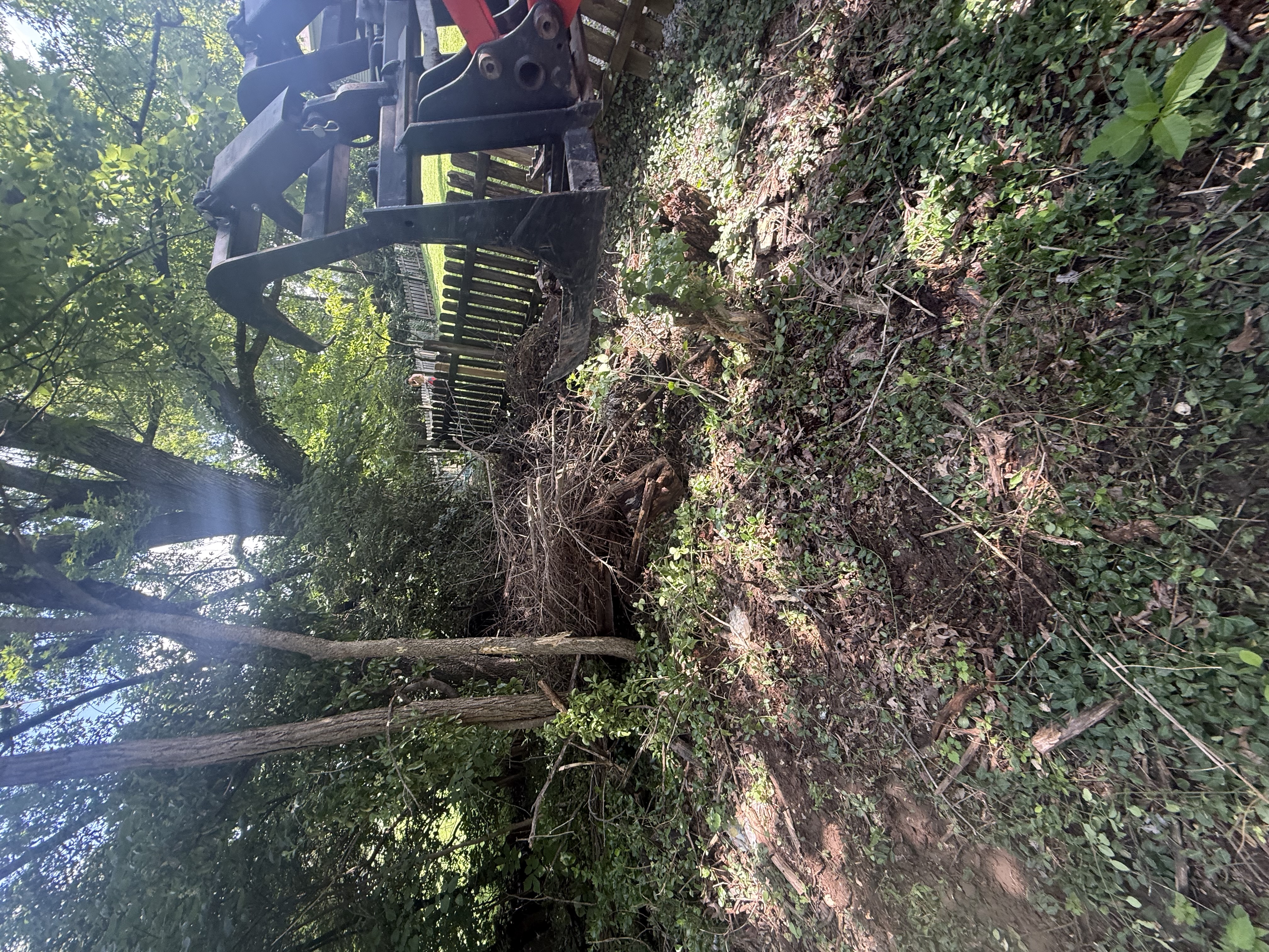 Excavator clearing a stump line