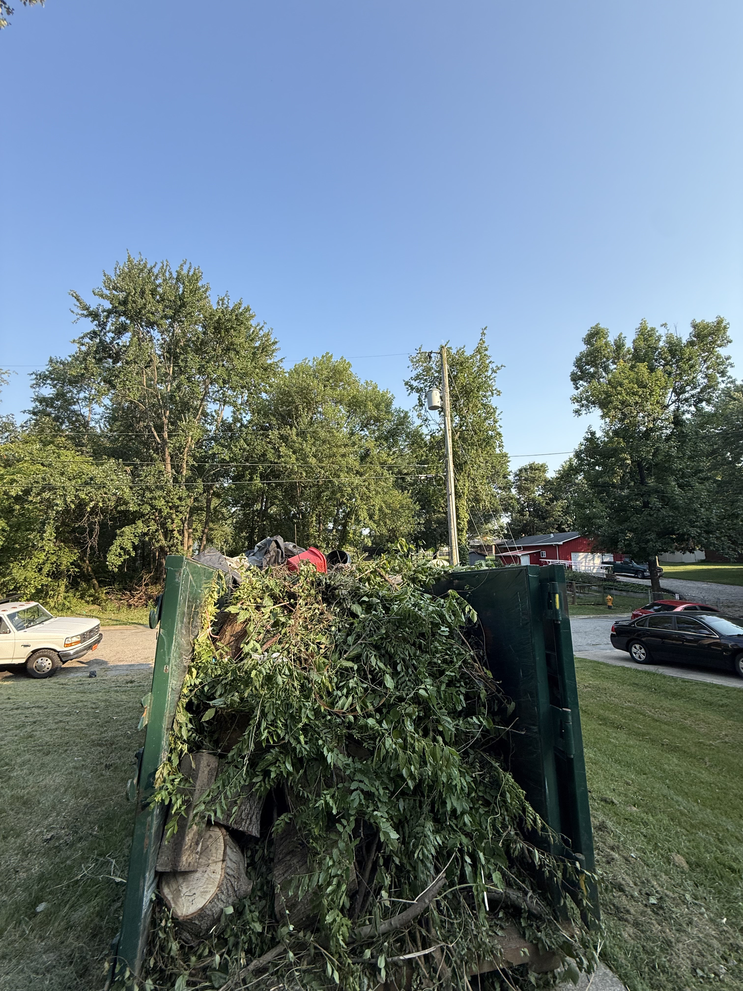 Debris cleanup and hauling