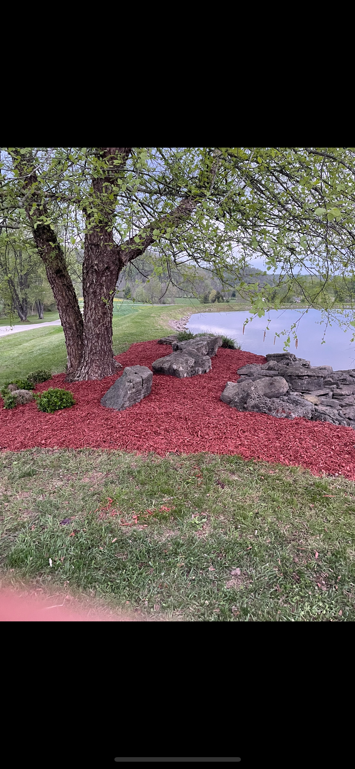 Landscaping project