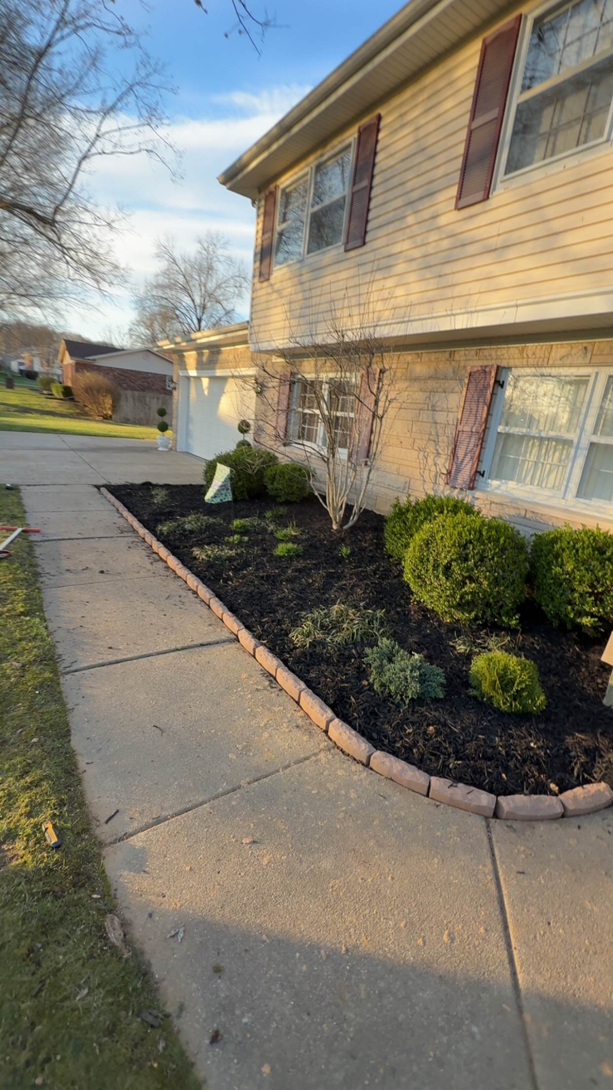 Landscaping project