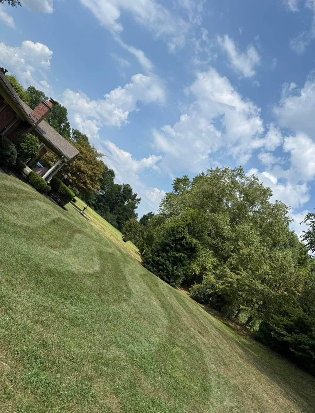 Lawn care and edging