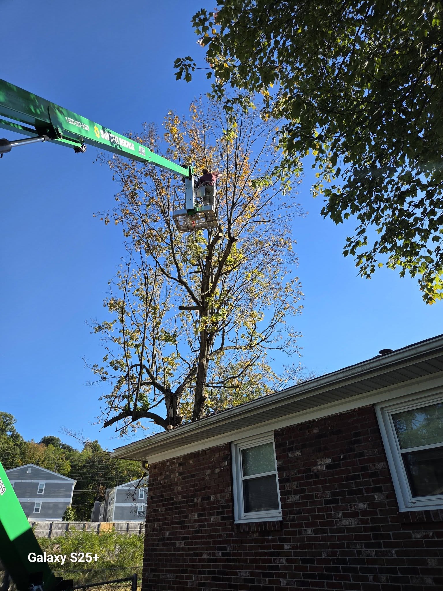 Tree service project