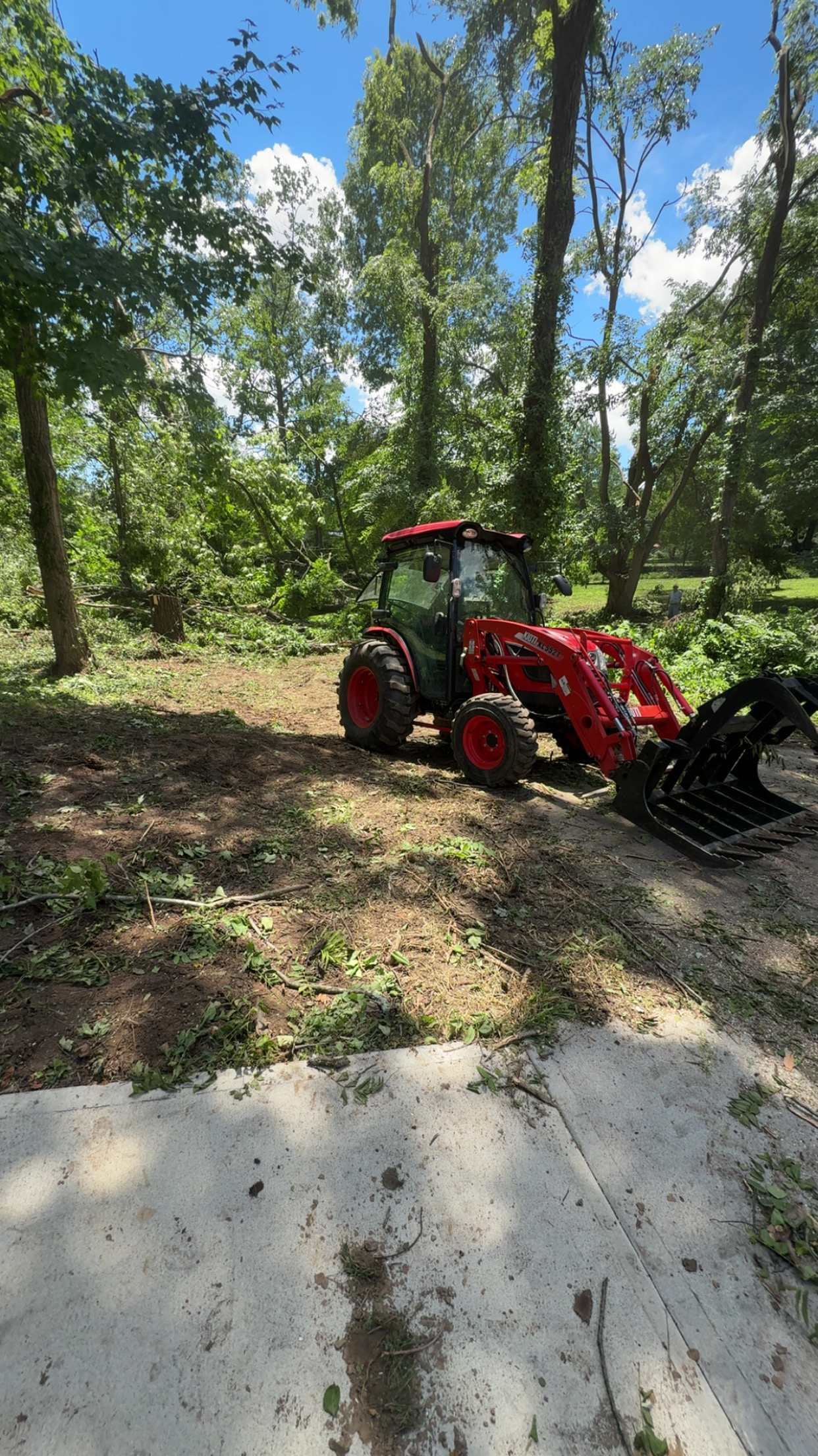 Cleared yard after storm damage tree removal