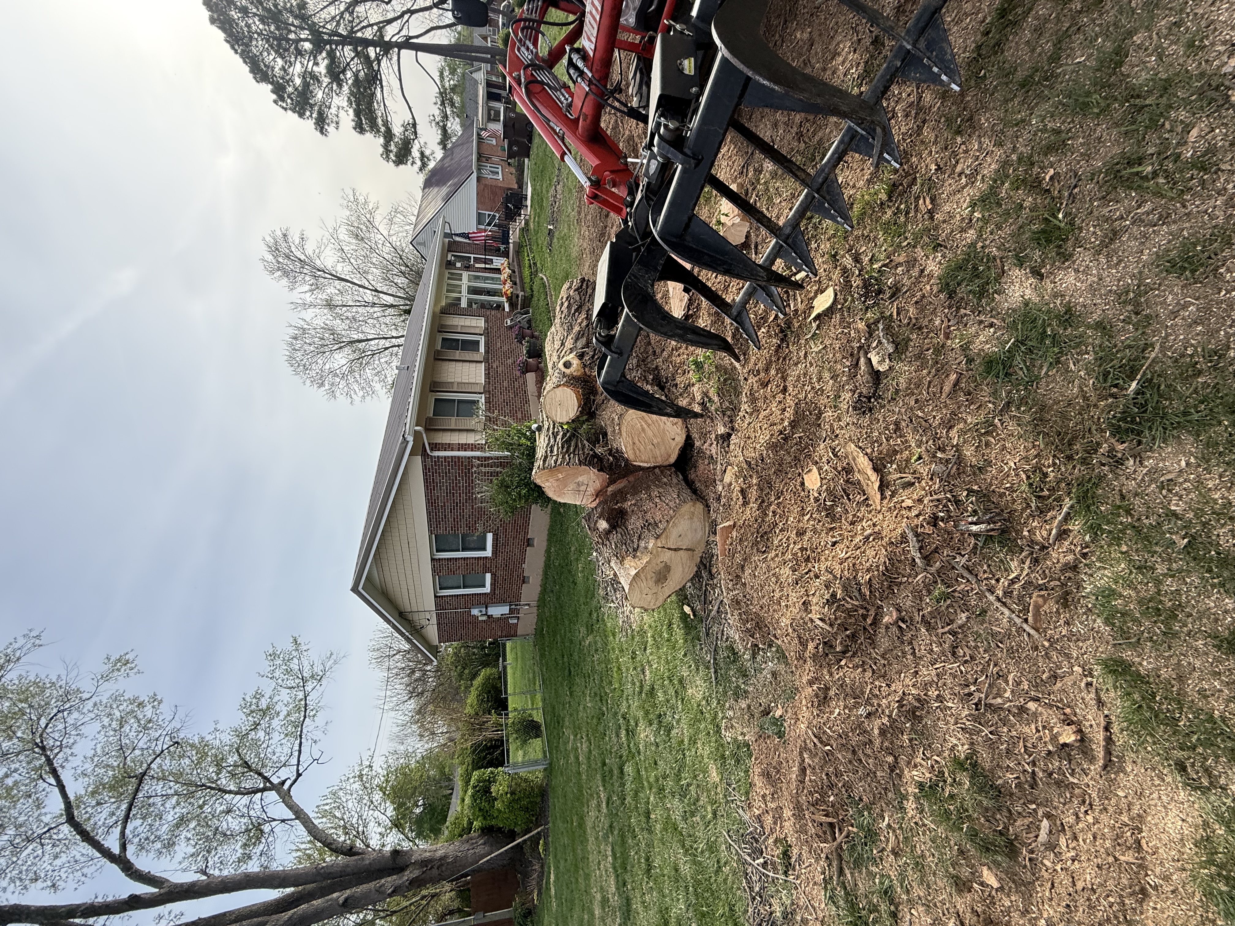 Tree service project