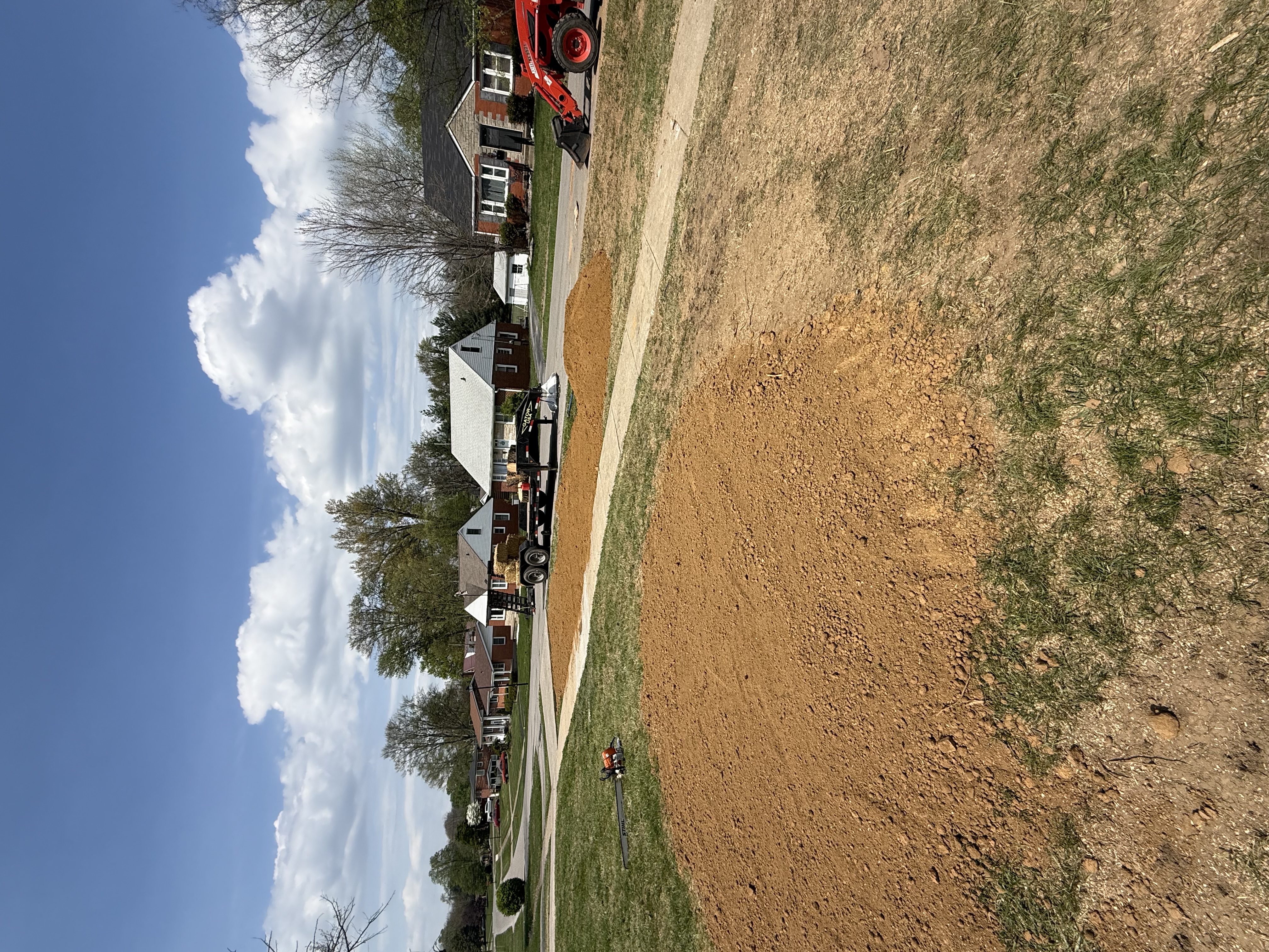 Tree service project