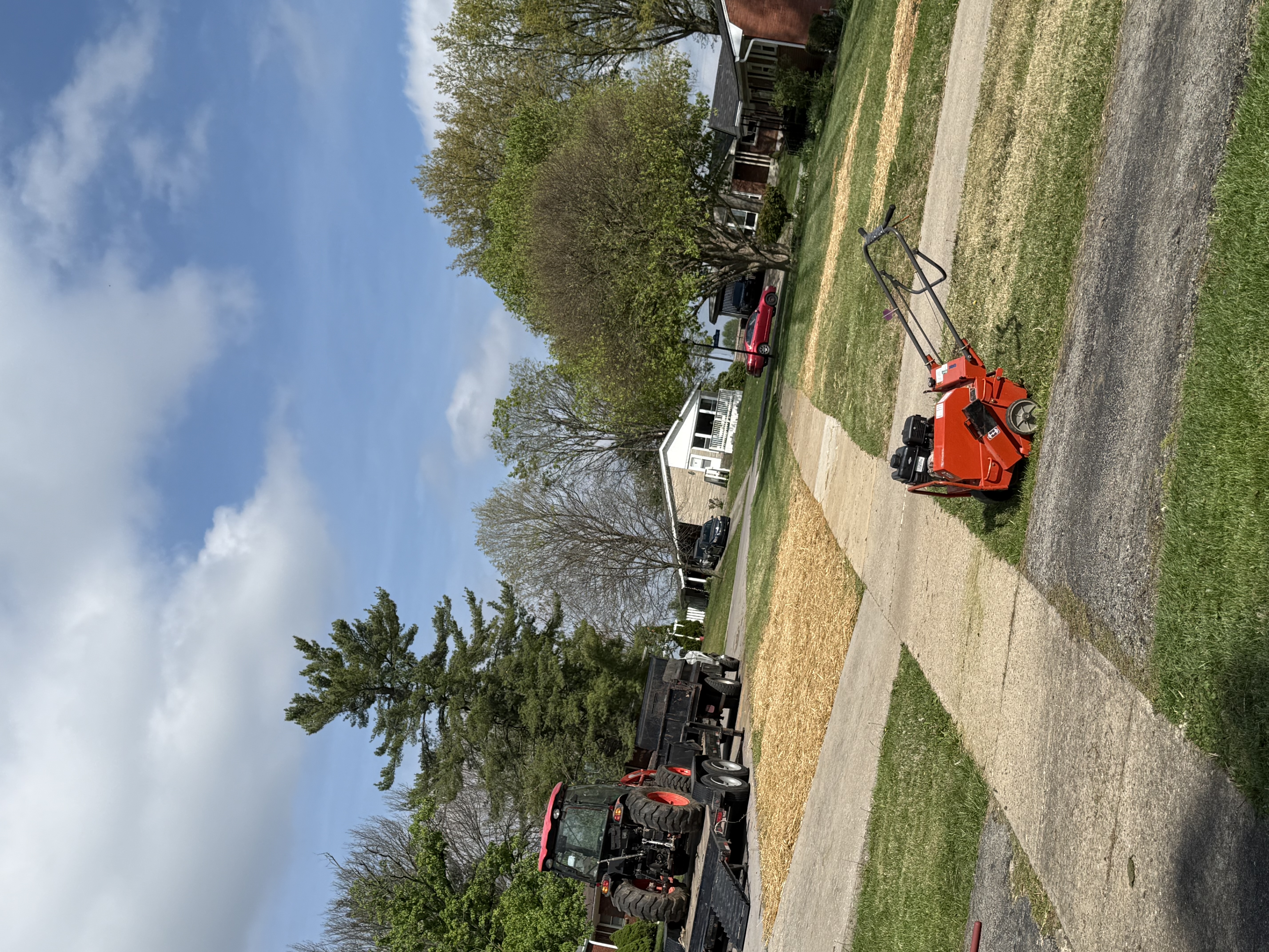 Tree service project