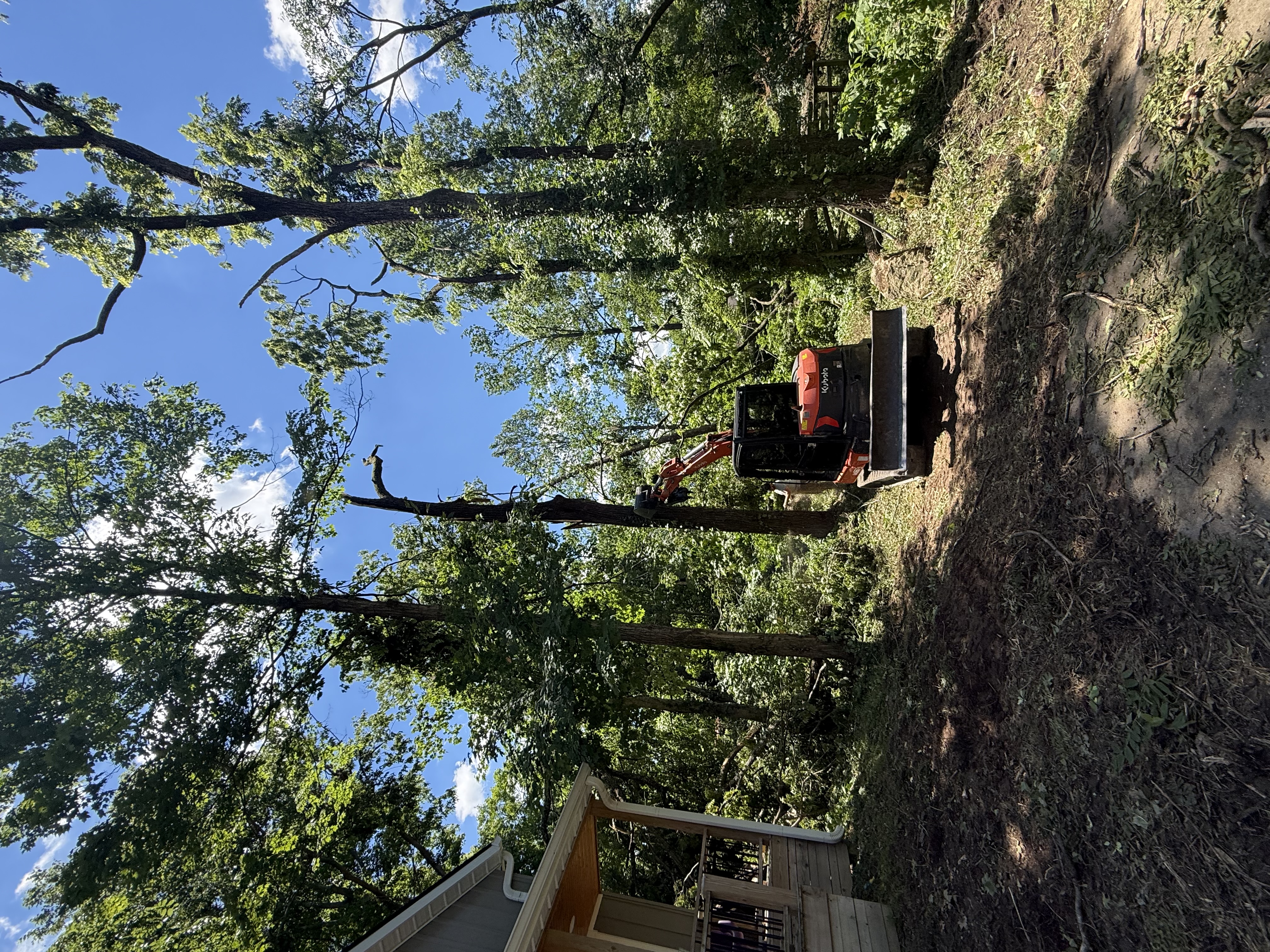 Excavator clearing storm debris in wooded area