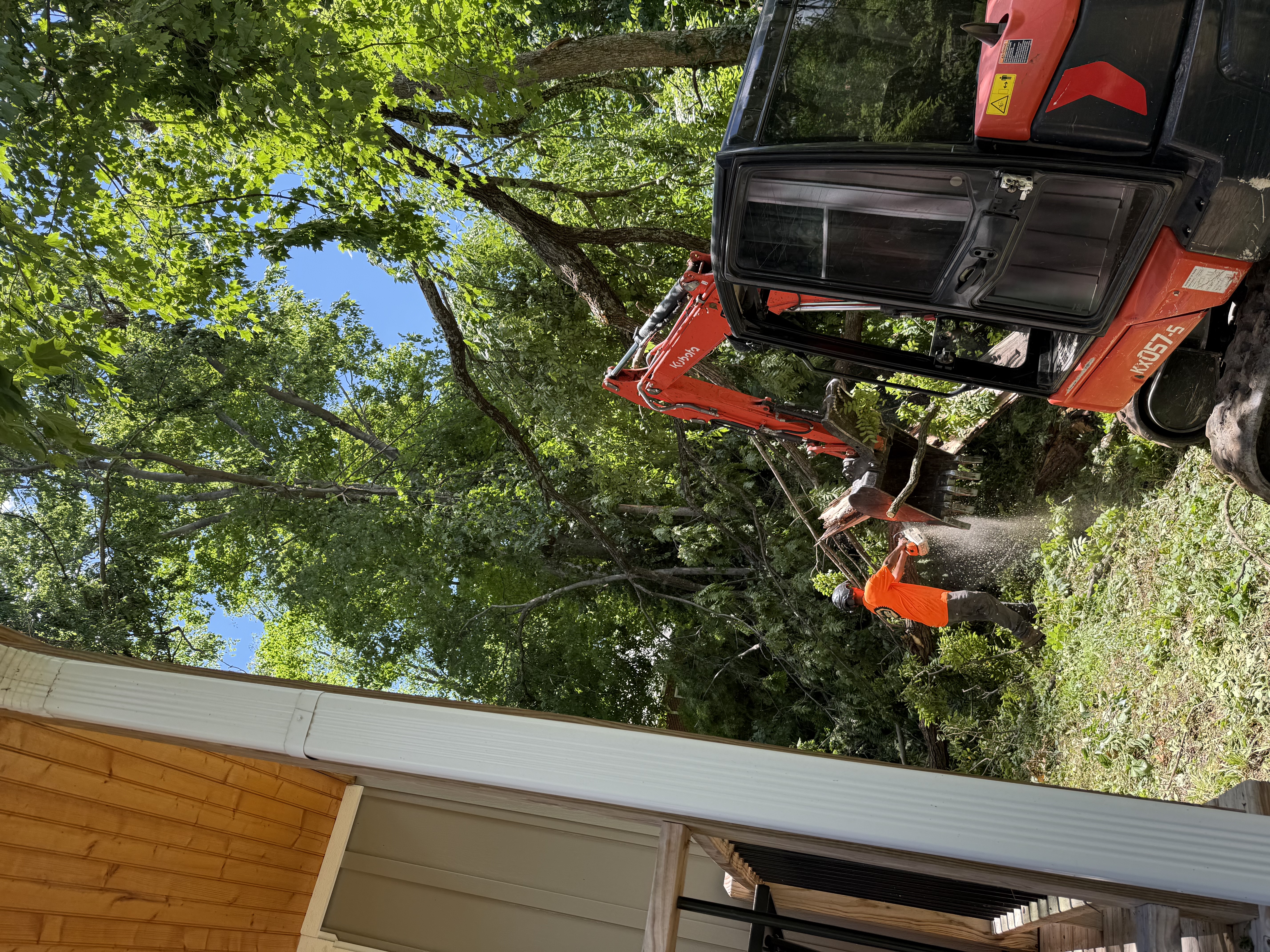 Crew clearing storm-damaged branches